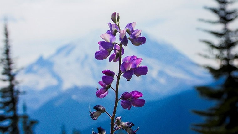 heart rock in the mountains