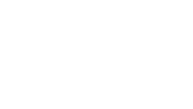 Vellox Reverser logo