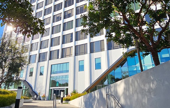 Daytime seaside cityscape with palm trees lining the street