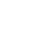 Cyber Shield Icon