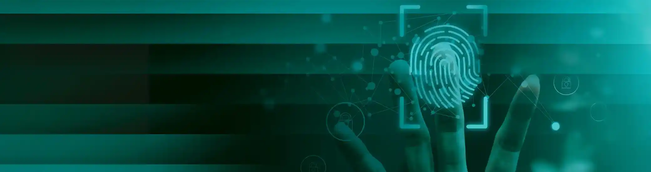 visual of a digital fingerprint