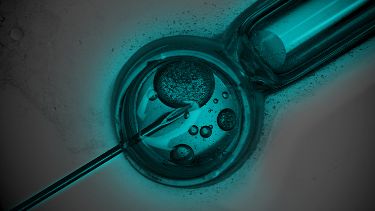 syringe in petri dish