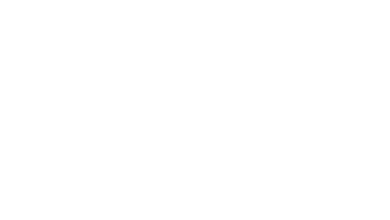 Vellox LayerOne Logo